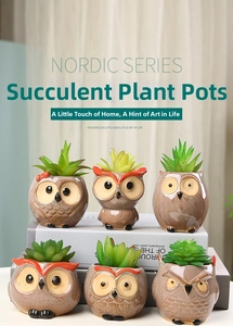 Detailed set of six ceramic owl succulent pots with diverse glazed textures and patterns