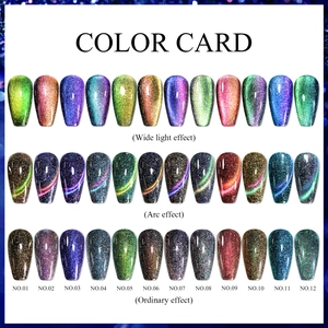 Professional 12-color cat eye nail gel polish palette showing wide and arc magnetic effects