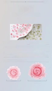 Detail of mixed resin 3D rose flowers and pearls for nail art in various sizes