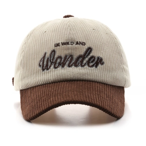 Berretto vintage in velluto a coste colorblock con ricamo BE WILD AND Wonder