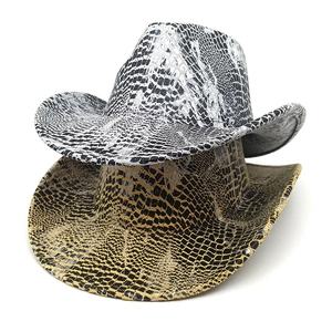 Détail du motif serpent sur les chapeaux de cowboy western en finitions or et argent