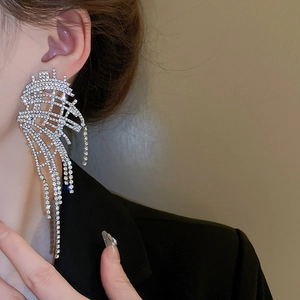 Elegant silver mesh earrings with rhinestones and long tassels on female model