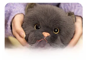 Primer plano de un lindo gato de peluche gris con pelaje suave y ojos dorados