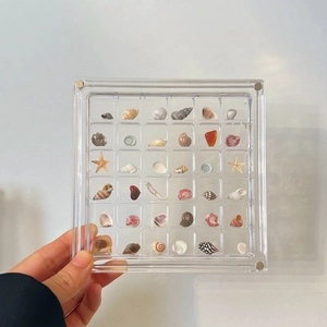 Square acrylic specimen box with seashell and starfish collection in multiple grids