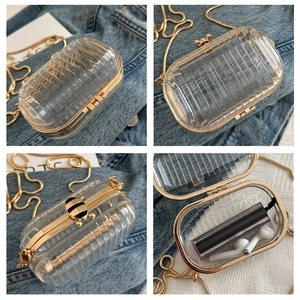 Transparent acrylic box bag with golden bee clasp and chain strap detail views