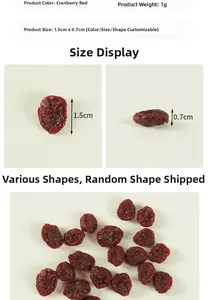 Detailed view of dried cranberry models with precise measurements and realistic textures