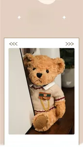 Detail of plush teddy bear wearing a beige knit sweater with a golden chain badge