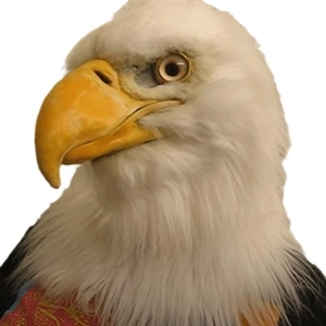 Realistic bald eagle head mask with white feathers and yellow beak for Halloween parties