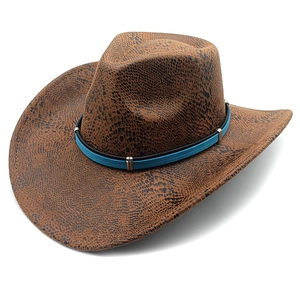 Vintage brown snakeskin pattern western cowboy hat with blue decorative band and wide brim