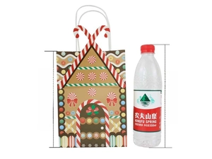 Gingerbread house kraft paper gift bag size comparison with a 21cm height indicator