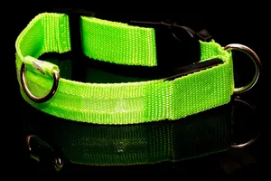 Détail du collier LED vert pour chien montrant le tissu en nylon et l'anneau en métal D