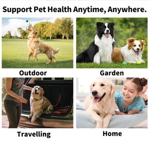 Pet eye wipes for tear stain removal shown in outdoor, garden, travel, and home settings