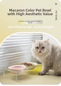 Detail of pink and white ceramic pet bowls set in a yellow acrylic elevated stand