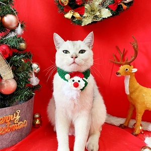 Close-up of a white cat wearing a knitted Christmas scarf with Santa Claus 3D design