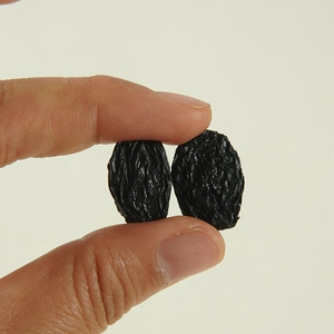 Realistic artificial black raisins miniature model showing natural texture and size