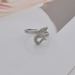 Detailed view of silver snake ring with scale texture on a fashion magazine background