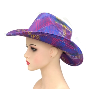 Classic purple checkered cowboy hat with rainbow metallic finish and wide rolled brim