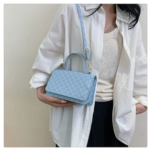Detail showing light blue monogram print handbag with shoulder strap and matte finish