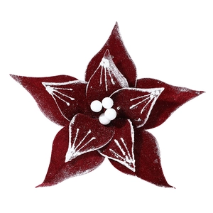 Deep red velvet Christmas Poinsettia flower with white faux snow on white background