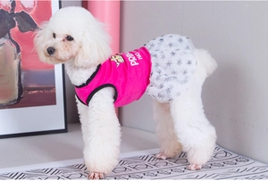 Detail view of pink princess dog dress featuring grey star mesh and cute bear print