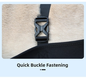 Close-up of the quick-release plastic buckle and nylon strap for pet mobility harness