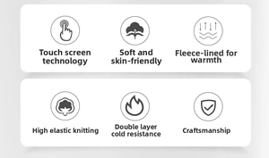 Features showing touchscreen technology, fleece lining, and elastic knit of warm gloves