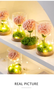 Detail of hand-knitted pink carnation in glass dome with warm LED lights and moss
