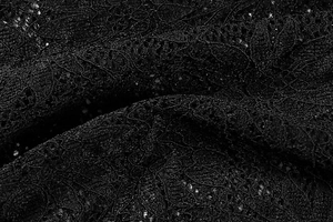 Gros plan détaillé sur un tissu en dentelle noire avec broderies florales complexes