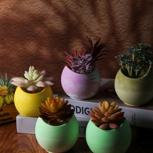 Mini set di succulente con vasi colorati in ceramica a forma di uovo per decorare la casa