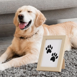 Pet paw print memorial photo frame in light wood grain with Golden Retriever background