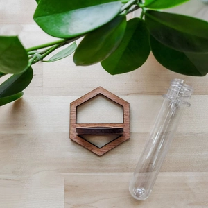 Detail of hexagonal wooden wall plant holder with a clear glass hydroponic test tube