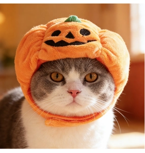Detailed view of pumpkin-shaped plush pet hat in bright orange for cat Halloween costumes