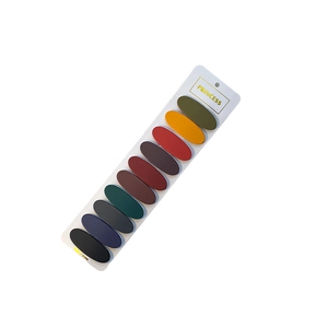10-piece set of matte oval snap hair clips in various Morandi colors on display card