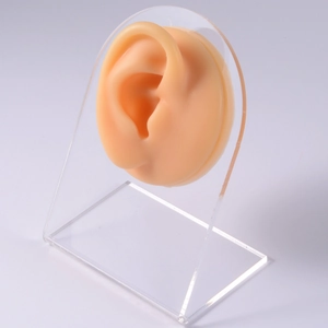 Silicone ear model on clear acrylic stand for piercing jewelry display in flesh tone