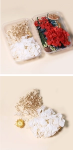 Detail of red and white dried hydrangea petals with baby's breath for DIY crafts