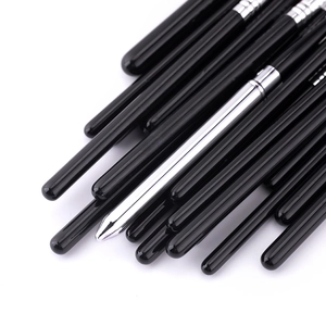 Professional 19-piece black and silver eye makeup brush set with elegant carrying case