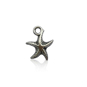 Dettaglio macro di un ciondolo a stella marina in argento vintage con superficie strutturata