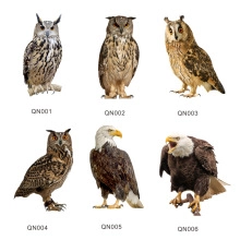 Detailed catalog of 3D Halloween acrylic stickers featuring lifelike owls and eagles