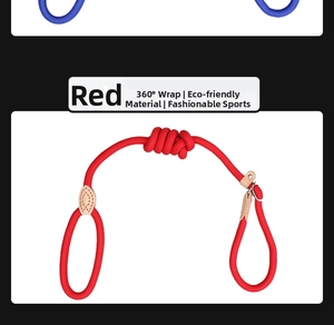 Detail of red braided dog leash with leather reinforcement and durable metal ring