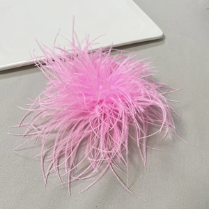 Macro detail of fluffy light pink ostrich feather brooch for elegant dress accessories