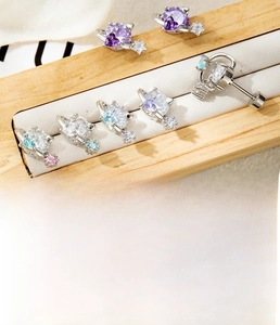Détails des boucles d'oreilles en acier titane argenté avec zircone étoile et cœur