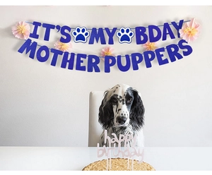 Blue glitter IT'S MY BDAY MOTHER PUPPERS banner and cake topper for dog birthday party