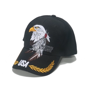 Casquette de baseball noire avec broderie d'aigle et détails USA sur la visière