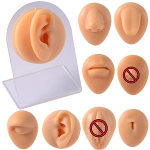 Silicone body parts model set for piercing training on display stands in various angles