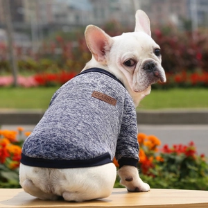 Detail shot of the blue and gray knitted pet sweater texture on a French Bulldog