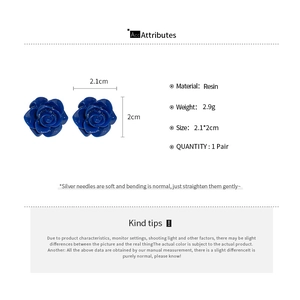 Vue détaillée des boucles d'oreilles rose bleue avec dimensions sur fond blanc