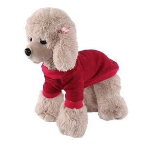 Close-up of red knitted pet sweater with ribbed collar on a small dog model