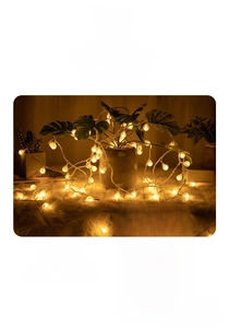 Warm white LED globe string lights wrapped around green plants for indoor decor