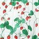 Detailed strawberry floral pattern print with red berries and green leaves on cotton fabric