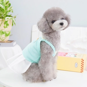 Mint green pet dress for dogs with white skirt and cozy knit fabric on a model